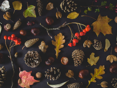 November 2022 News & Events