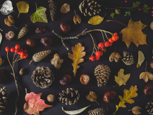 Thanksgiving Holiday 2022