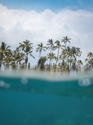 Image by Jeremy Bishop