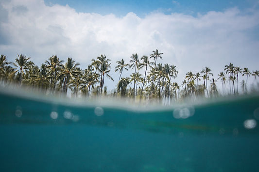 Image by Jeremy Bishop