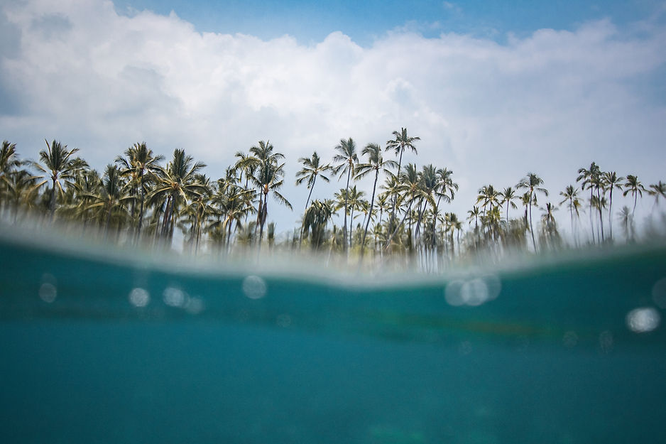 Image by Jeremy Bishop