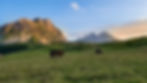 Horses graze peacefully on a lush green meadow, set against the backdrop of majestic, sunlit mountains under a clear blue sky.