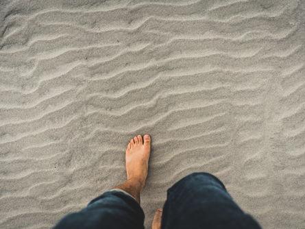 Anxiety Reigns - Grounding