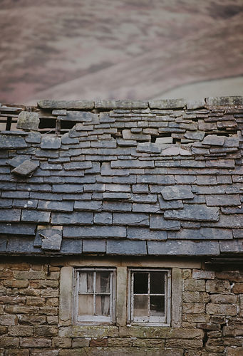 Image de Annie Spratt