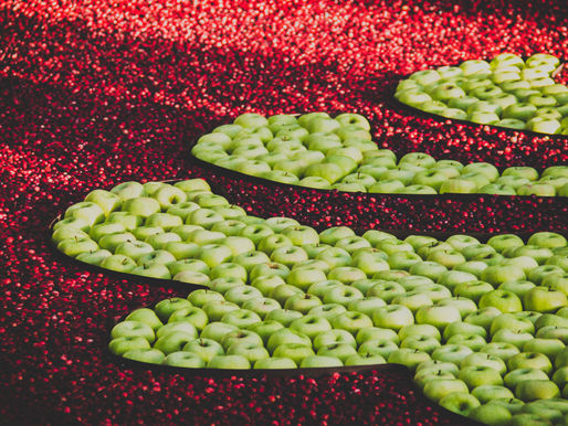 Cranberry. Shidonna Raven Garden & Cook, Soaring by Design