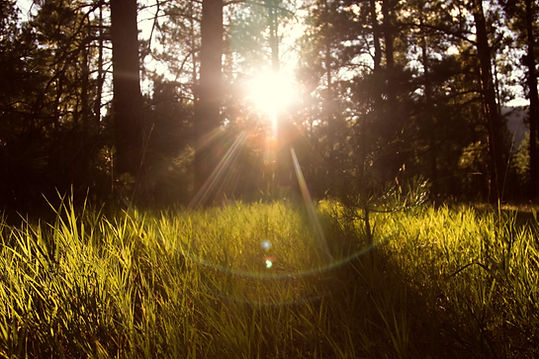 Image by Micah Hallahan