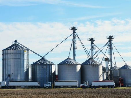 Tidbits, August S&D, Field Feedback, Black Sea, Inflation Rate, Crude Oil Inventories 8/13/26