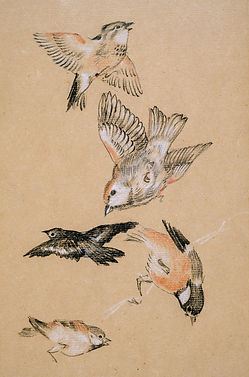 Image by Birmingham Museums Trust