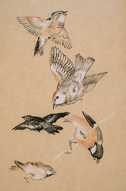 Image by Birmingham Museums Trust