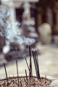 Image by Milada Vigerova