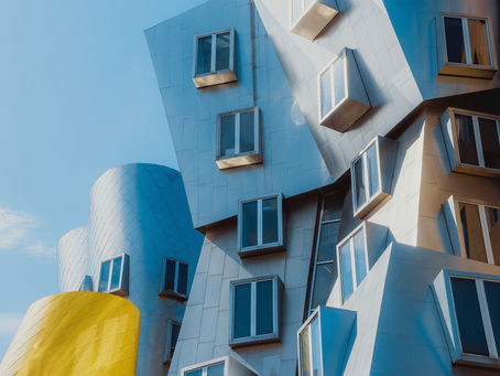 Summer 2024: Opportunities for Boston Artists