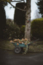Image by Annie Spratt
