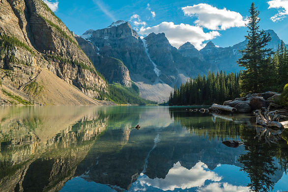 Image by Mark Koch