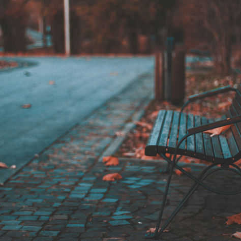 An empty bench at fall representing how quietly we can lose touch with ourselves