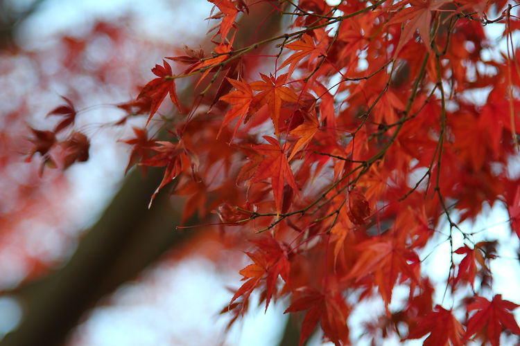 Image by Ice Tea