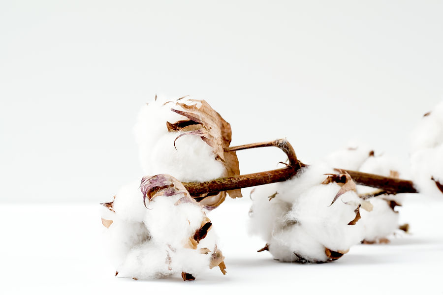 Interior Design Glossary | Cotton | Viñas Genève