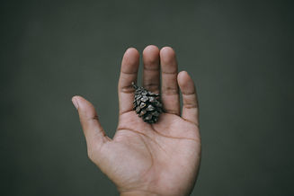 Image de Adib Harith Fadzilah