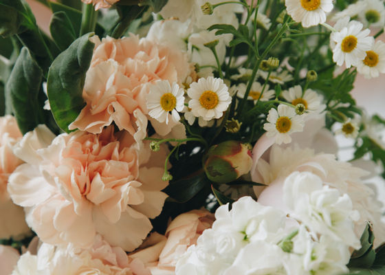 Image by Rebecca