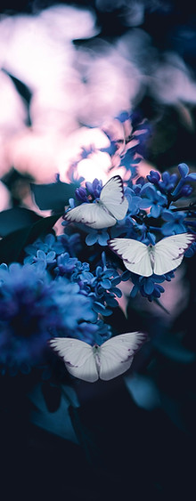 Image by Karina Vorozheeva