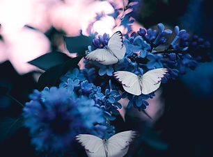 Image by Karina Vorozheeva