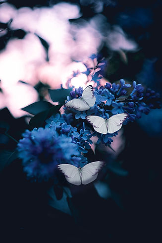 Image by Karina Vorozheeva