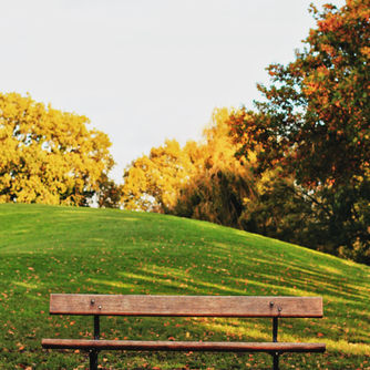 A wooden bench on a path in a park with a grassy hill and autumn trees in the background. The scene is peaceful and sunlit.