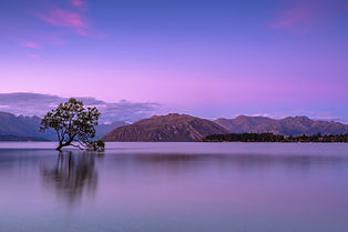 Image by Ken Cheung