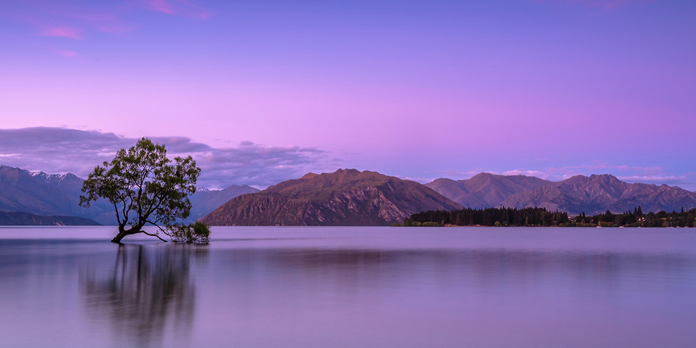 EMDR and Stress Management - June 29th