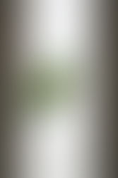 Photo of flag of Brazil