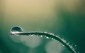 Image by Aaron Burden