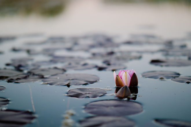 Image by Carlos de Miguel
