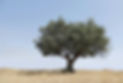 Image by Vasilis Caravitis