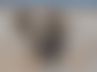 Global society celebrates World Wildlife Day