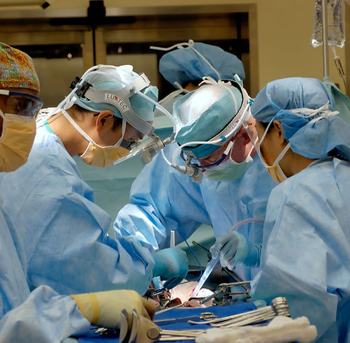Image by National Cancer Institute