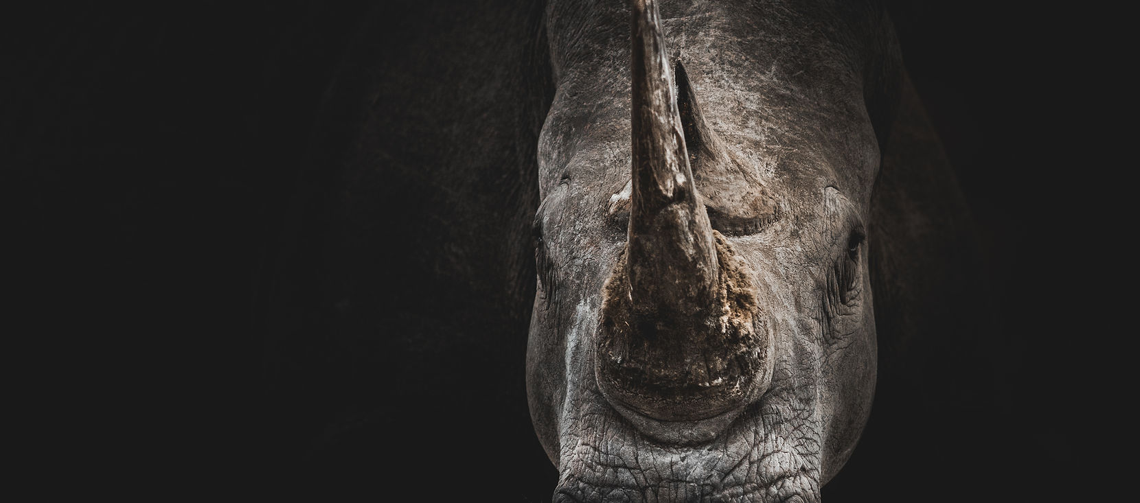 Image by Geranimo