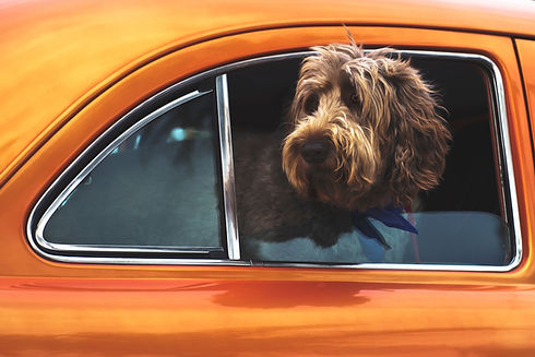 Image by Tim Mossholder