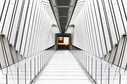 Image by Matthew Hamilton