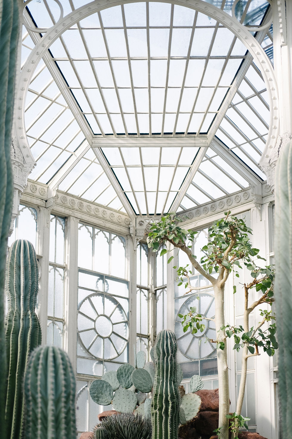 indoor garden with natural light