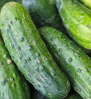 Image de Eric Prouzet