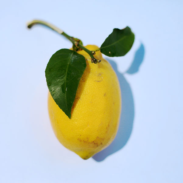 Image by Emily Sanburg
