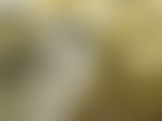 NRIs guide to Indian mutual funds investing