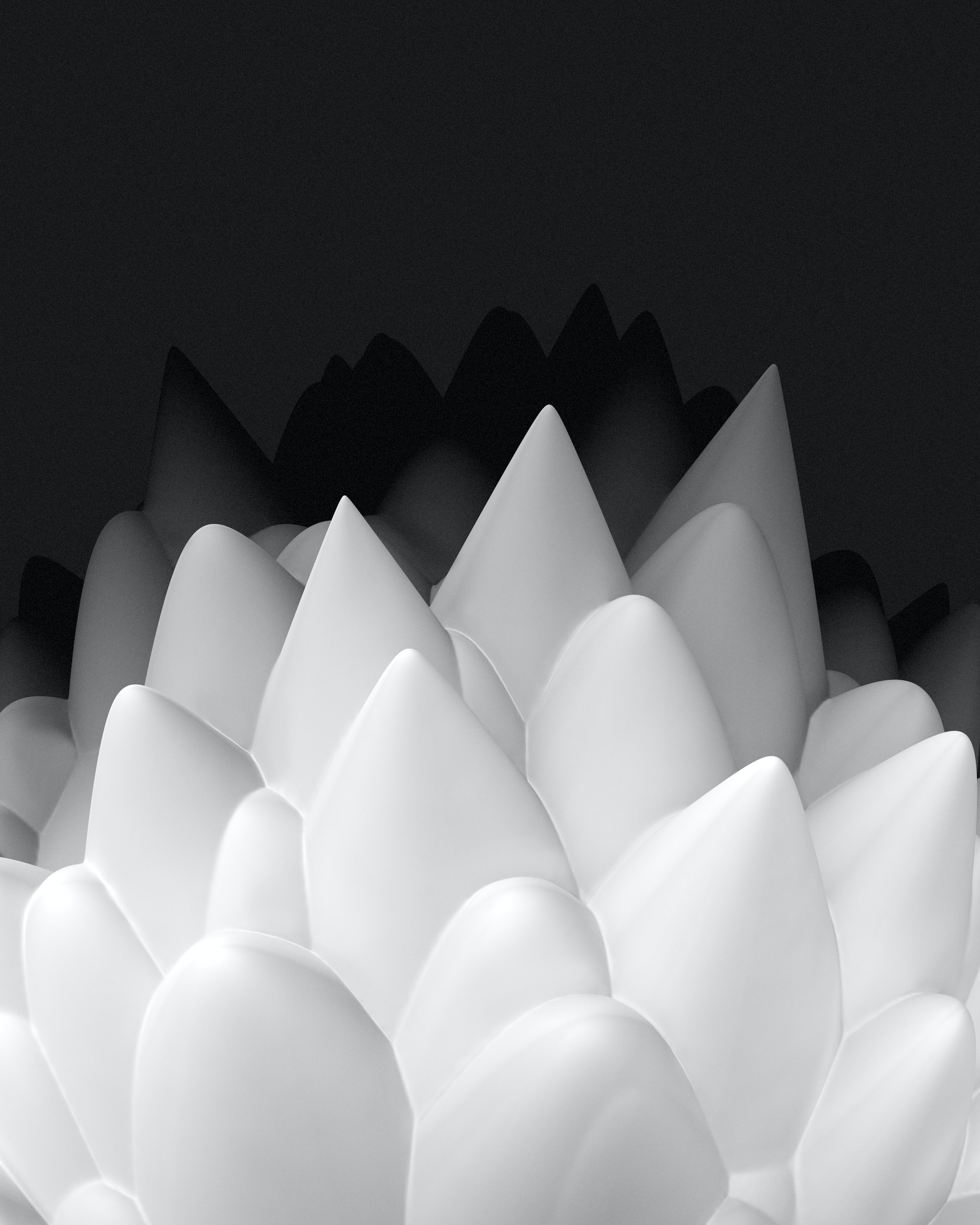 Sculptural white forms emerging from a dark background