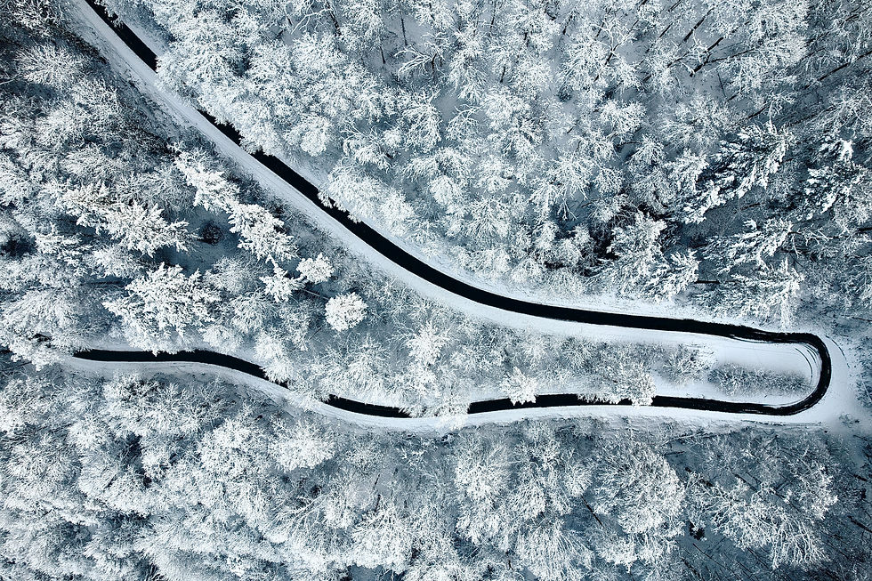 Image by Bernd 📷 Dittrich
