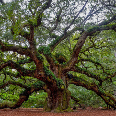 Johns Island, South Carolina