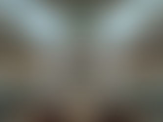 inside Australian parliament