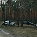 Image by Mikhail Volkov