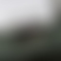 Addressing the Social Security funding shortfall is undoubtedly a complicated matter with a range of proposals typically divided into two main strategies: boosting revenue or cutting benefits/costs. Current projections indicate that, without any legislative action, the combined trust funds for Social Security (Old-Age and Survivors Insurance and Disability Insurance) will continue to provide full benefits until around 2034. After that point, tax income would still cover about 81% of scheduled benefits. Honestly, if I were told that I’d face a 19% reduction in benefits that I’ve contributed to throughout my life, I would understandably be quite upset. Many retirees are already struggling to make ends meet with the current benefit levels. This is why I strongly believe we need to tackle this issue now instead of pushing it off like Congress often does with pressing matters. Taking action sooner rather than later will yield less severe consequences for everyone since no one can re