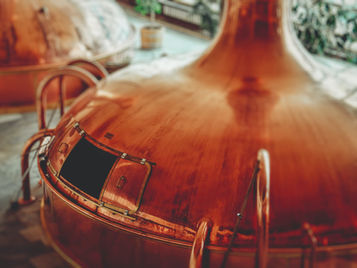 The Scottish Whisky Tourist