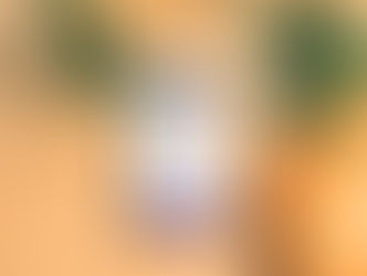 Dit veranderde er écht bij ING sinds Steven van Rijswijk CEO werd (en waarom beleggers opletten)