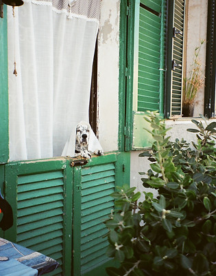 Image by Adelina S. Gray